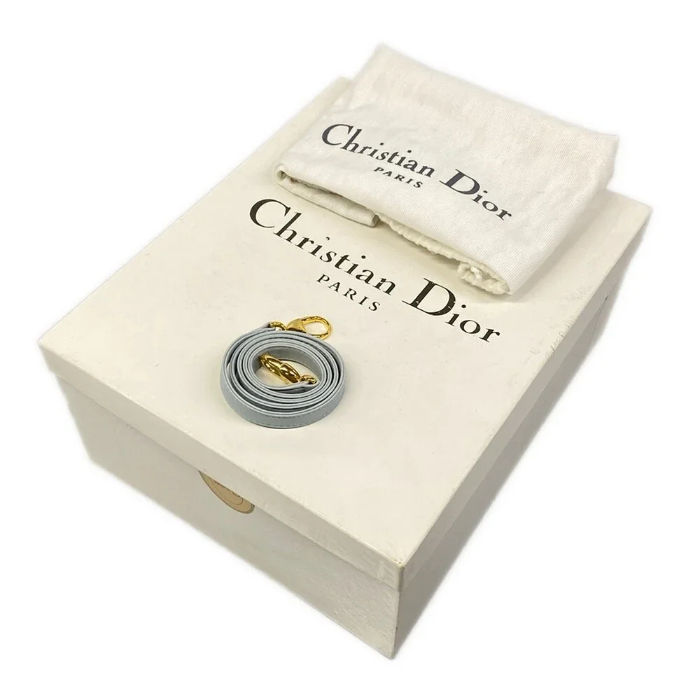 Christian Dior Lady Dior Medium Handbag